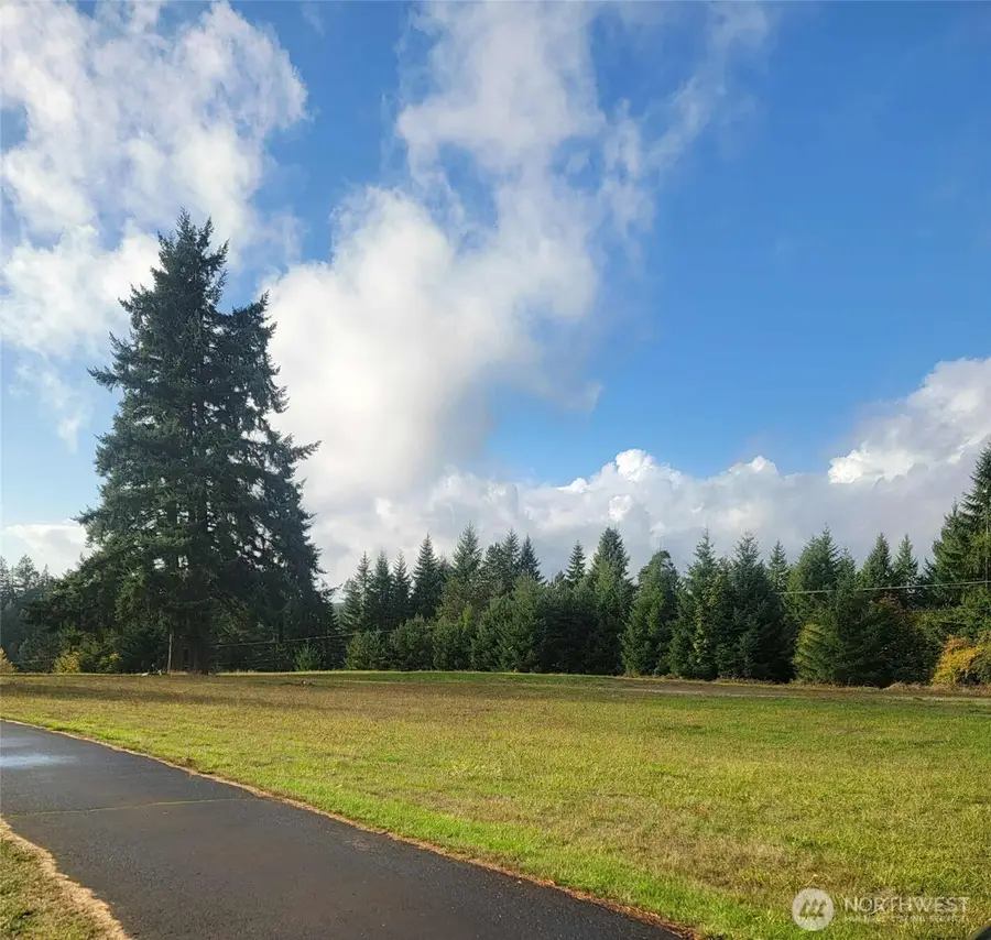 0 NE 1st Street, Winlock, WA 98596 - Image #2