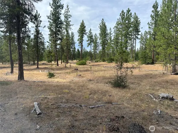 3 Greyback Mt Road #3, Goldendale, WA 98620