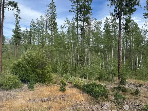 5 Greyback Mt Road #5, Goldendale, WA 98620