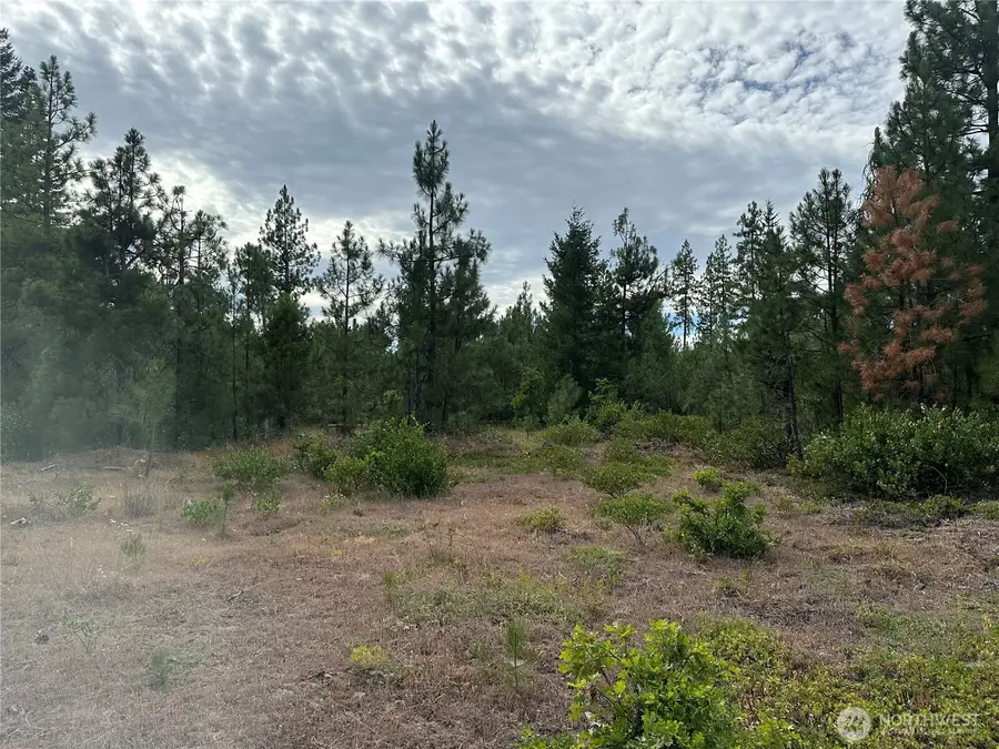 5 Greyback Mt Road #5, Goldendale, WA 98620 - #2
