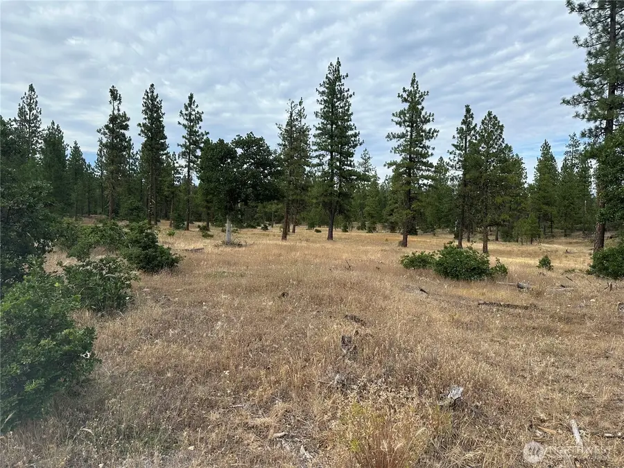 5 Greyback Mt Road #5, Goldendale, WA 98620 - #3