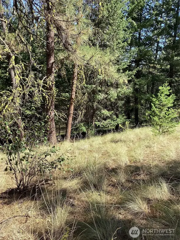 141 Lot Owl Road #141, Tonasket, WA 98855