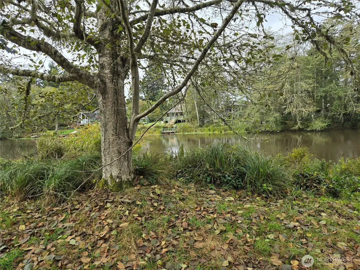 441 Bass Avenue Ne, Ocean Shores, WA 98569 - Image #1