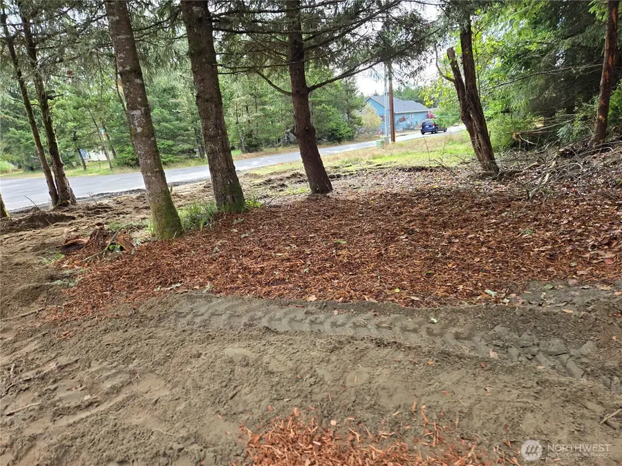 441 Bass Avenue Ne, Ocean Shores, WA 98569 - Image #2