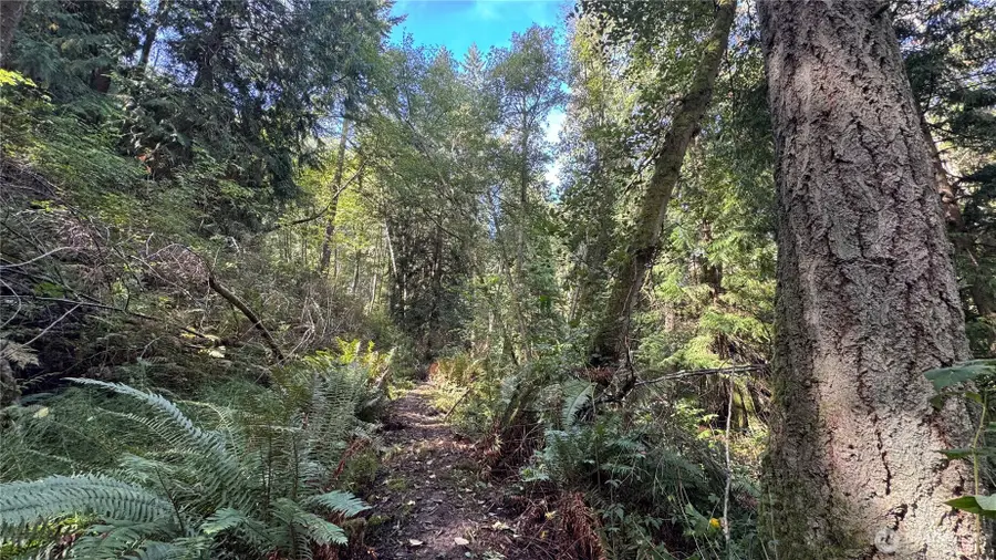 0 Heggeness Road, Clinton, WA 98236 - #3