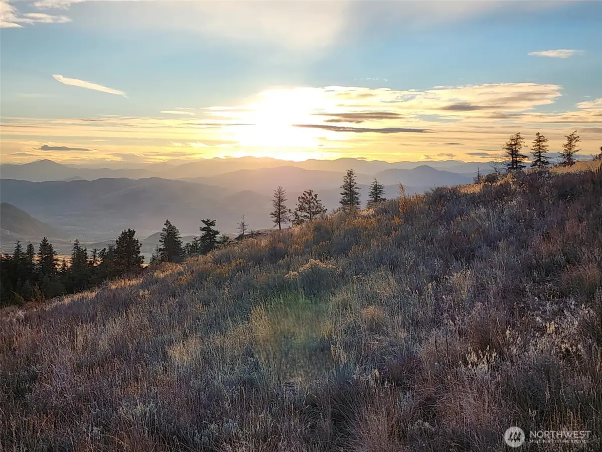 0 Blue Grouse (div 5, Lot 42) #42, Oroville, WA 98844 - Image #1