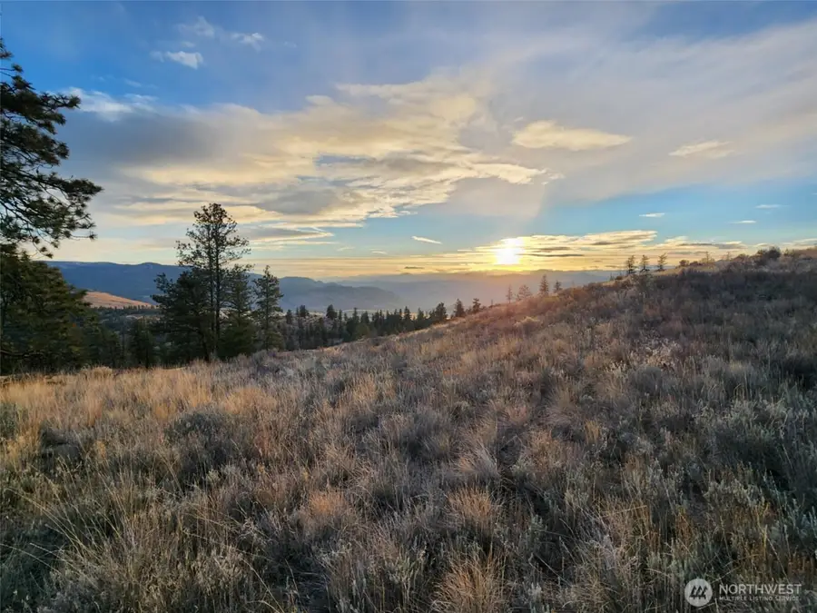 0 Blue Grouse (div 5, Lot 42) #42, Oroville, WA 98844 - Image #3