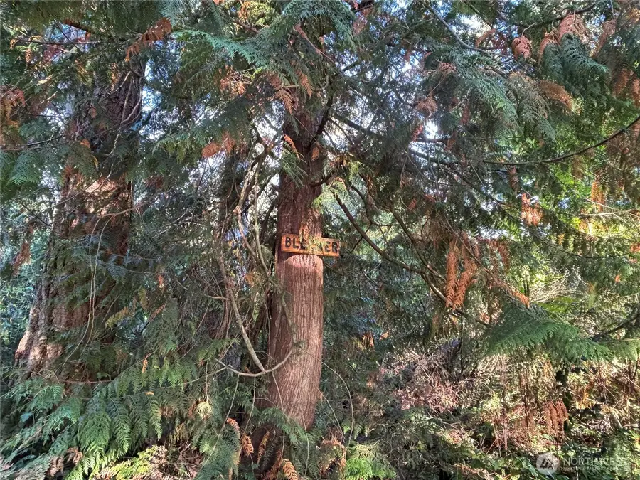 17745 SE Vine Lane, Yelm, WA 98597 - #3