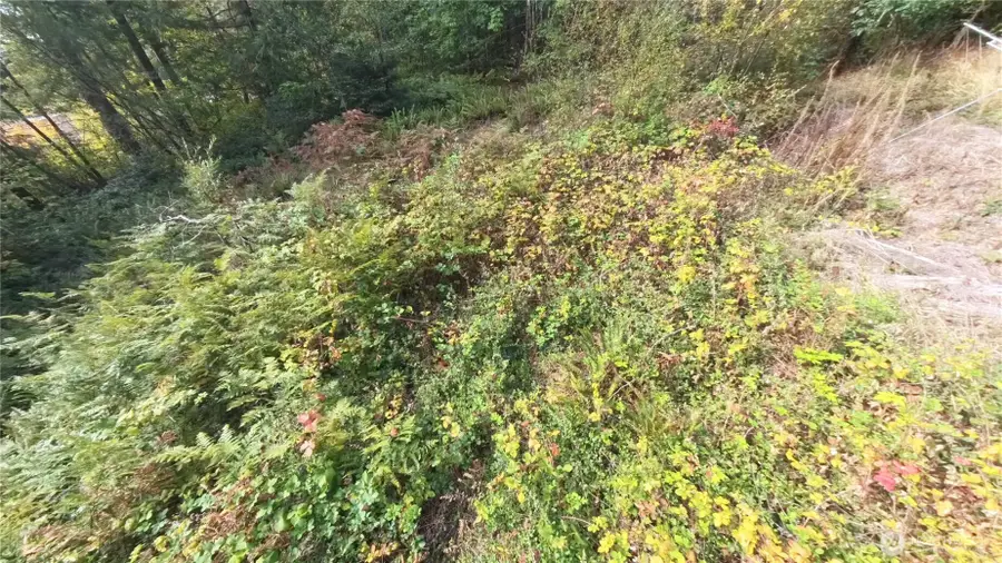 130 Lot: B, Ptn Blk: 15 #B, Hoodsport, WA 98548 - Image #2