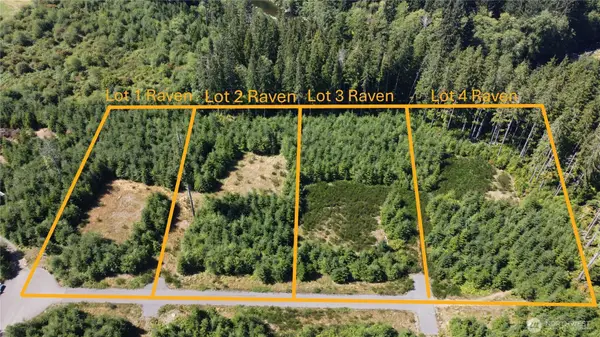 9999 King Johns-lot 3 Raven Way #3, Forks, WA 98331