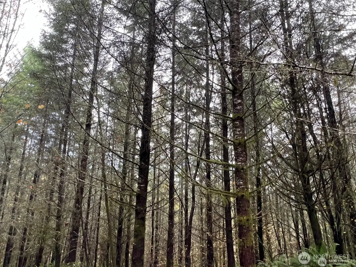 0 Pleasant Valley Road, Chehalis, WA 98532 - Image #1