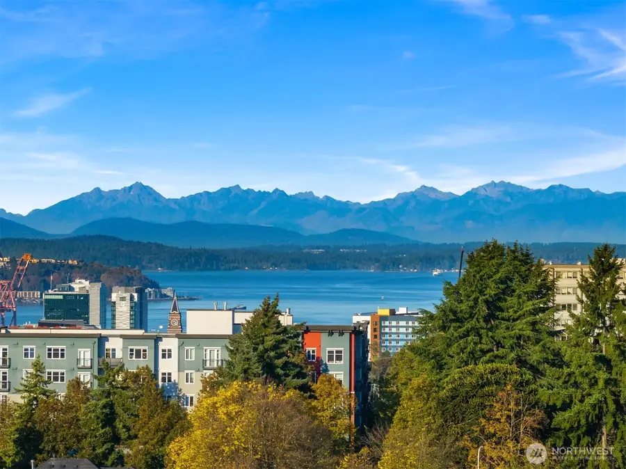 303 23rd Avenue S #310, Seattle, WA 98144 - Image #3