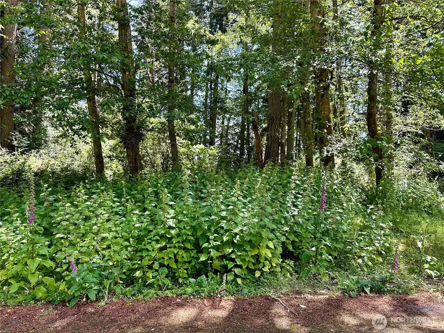 10312 Matthews #101, Anderson Island, WA 98303 - Image #2