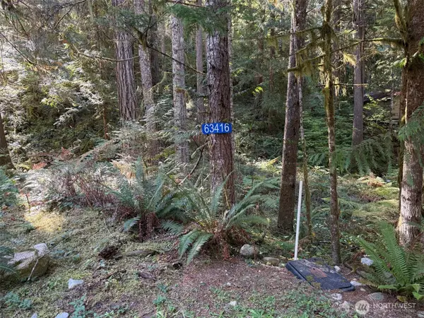 63416 E Ross Place #64, Marblemount, WA 98267