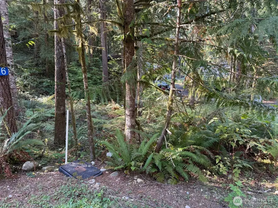 63416 E Ross Place #64, Marblemount, WA 98267 - Image #2