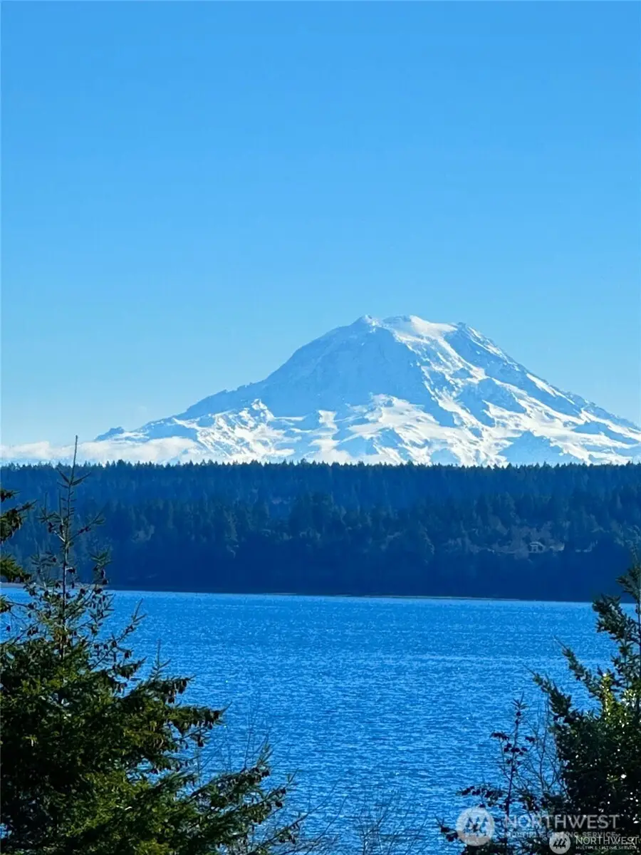 11321 Lake Josephine Boulevard, Anderson Island, WA 98303 - Image #3