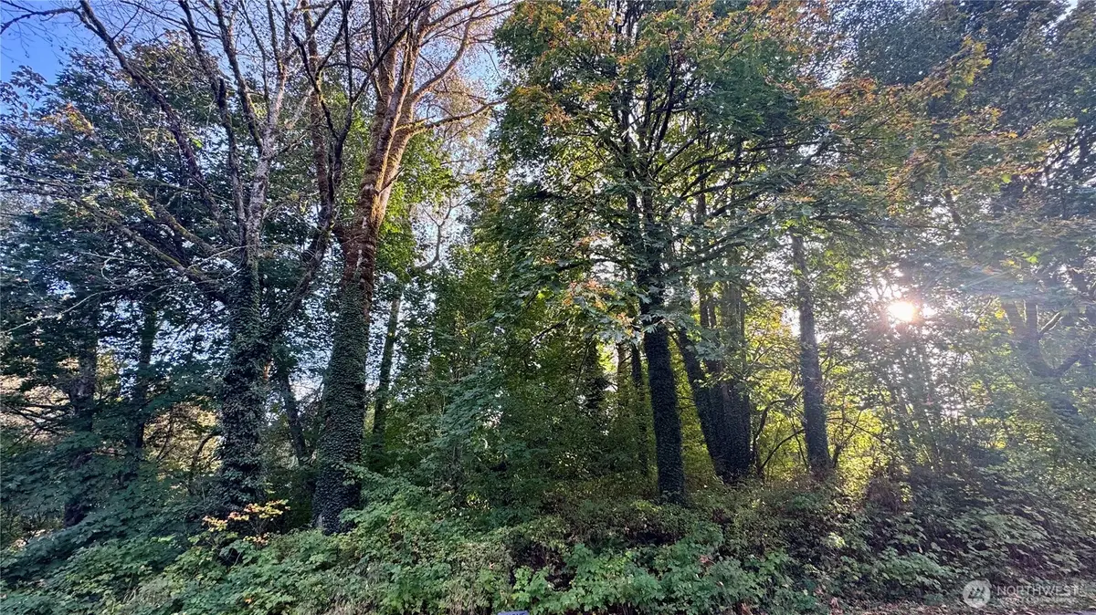 0 Cape Horn Drive #14 & 15, Concrete, WA 98237 - Image #1