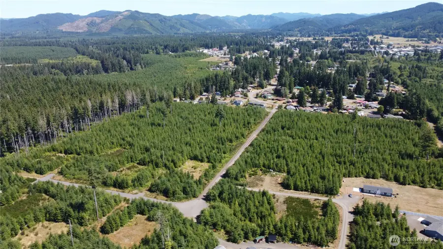 9999 King Johns Way Lot 4 Crow #4, Forks, WA 98331 - Image #3