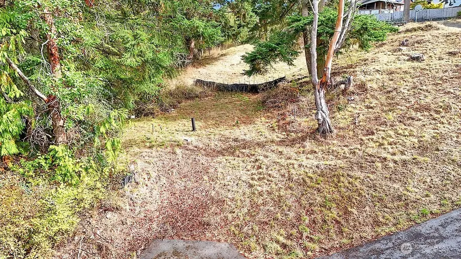 9999 Maple Parcel A Street #Parcel A, Port Townsend, WA 98368 - Image #2