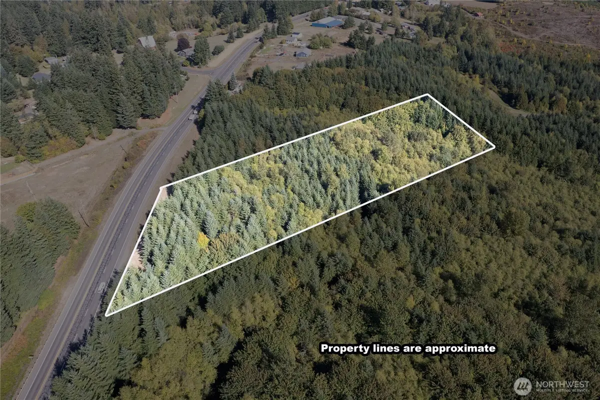 0 Spirit Lake Parcel Wk3516013 Highway, Castle Rock, WA 98611 - Image #1