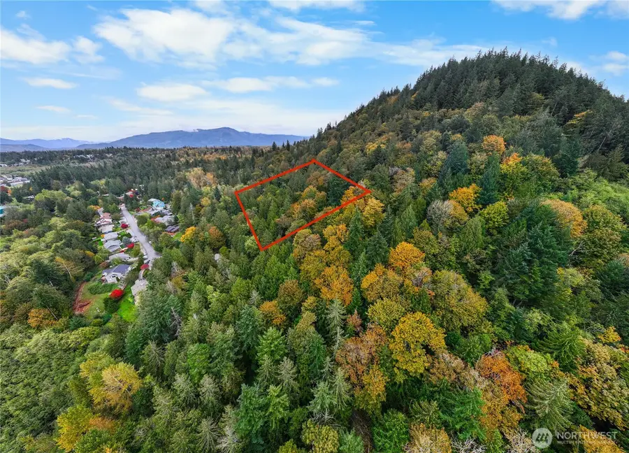 0 Anderson Road, Mount Vernon, WA 98274 - Image #2