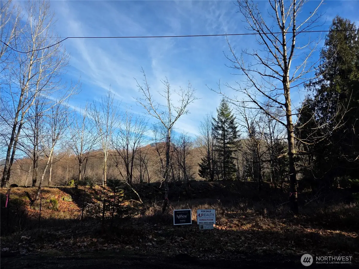 0 Slalom Way #12, Packwood, WA 98361 - Image #1