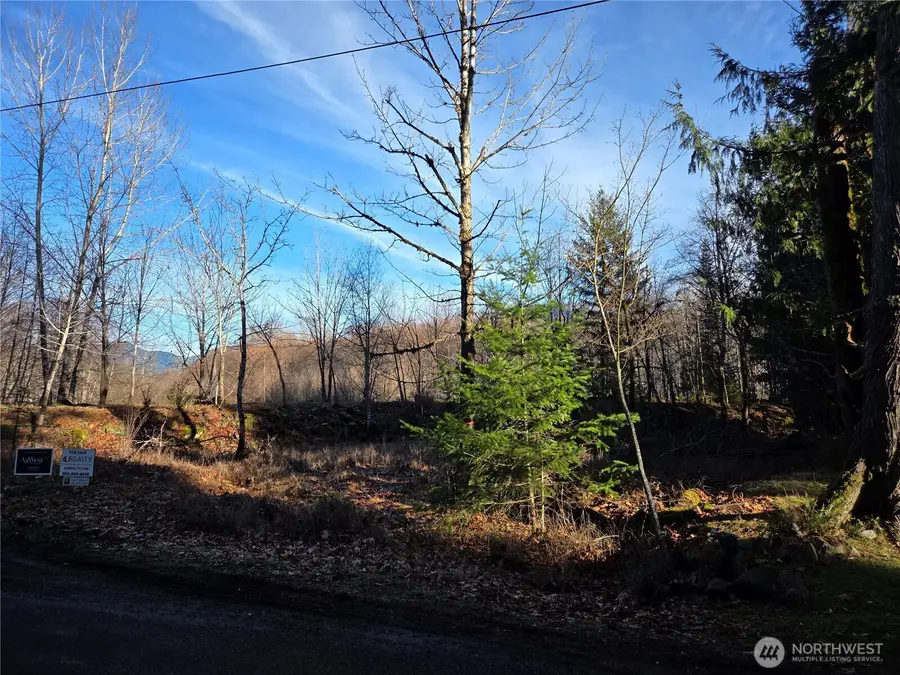 0 Slalom Way #12, Packwood, WA 98361 - Image #2