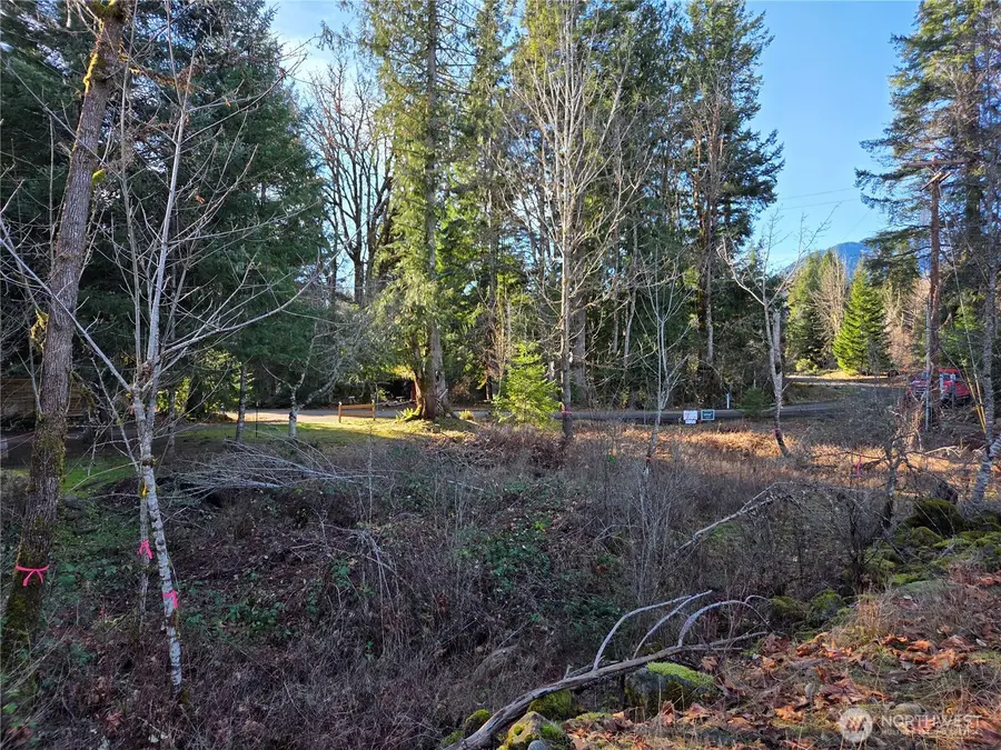 0 Slalom Way #12, Packwood, WA 98361 - Image #3