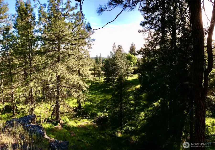 11300 S Strangland Road #04193.9008 & 04192.9004, Medical Lake, WA 99022 - Image #3