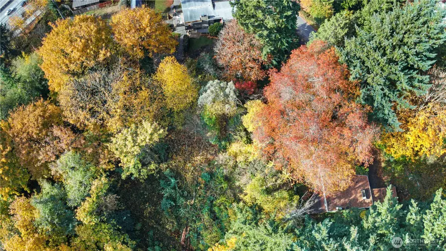 12117 SE 26th Street, Bellevue, WA 98005 - Image #3