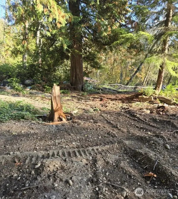 18820 220th Avenue Se, Maple Valley, WA 98038