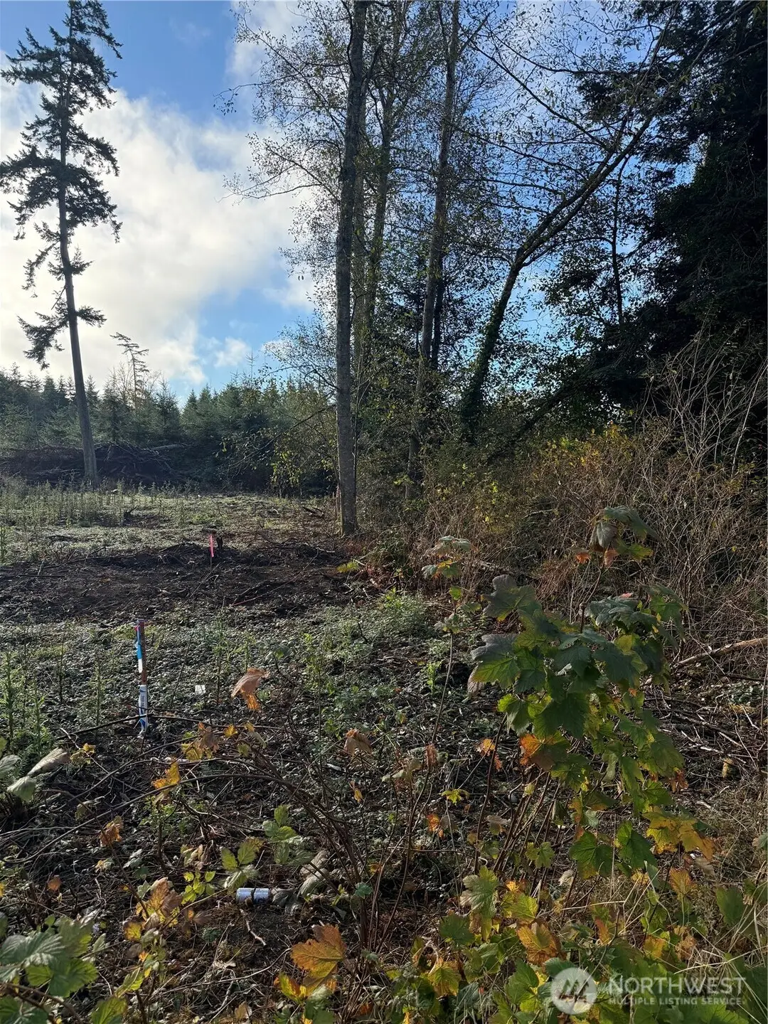 1454 Admirals Drive #88 & 89, Coupeville, WA 98239 - Image #1