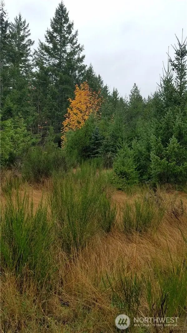 1140 W California Road #10-11, Shelton, WA 98584