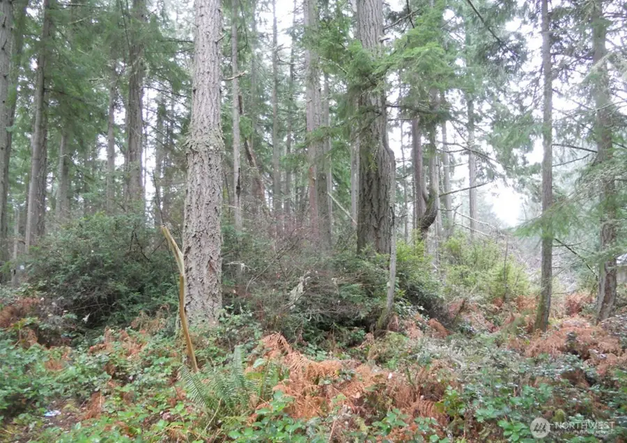 10315 107th Avenue Ct #Riv Lot 38, Anderson Island, WA 98303 - Image #3