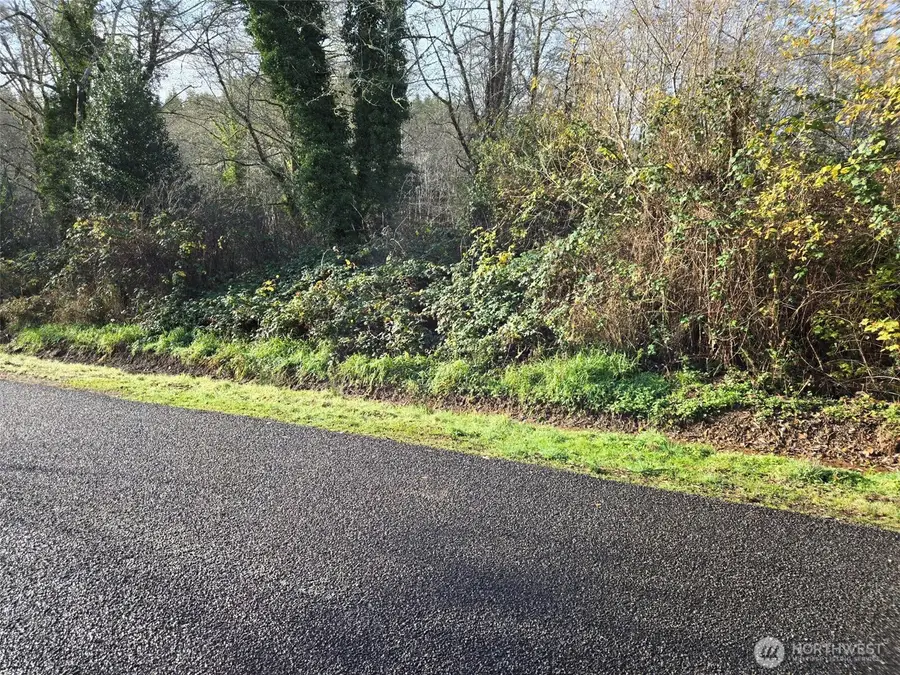 0 Kendrick And Wier Street, South Bend, WA 98586 - Image #2