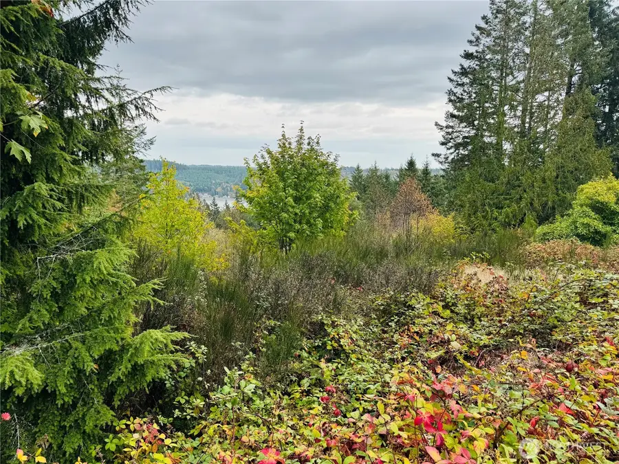 181 E Rainier Court #46, Allyn, WA 98524 - Image #2