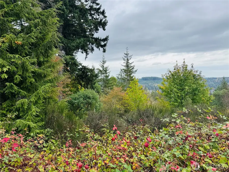 181 E Rainier Court #46, Allyn, WA 98524 - Image #3