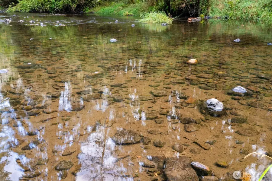 0 NE Cedar Creek Road, Woodland, WA 98674 - #2