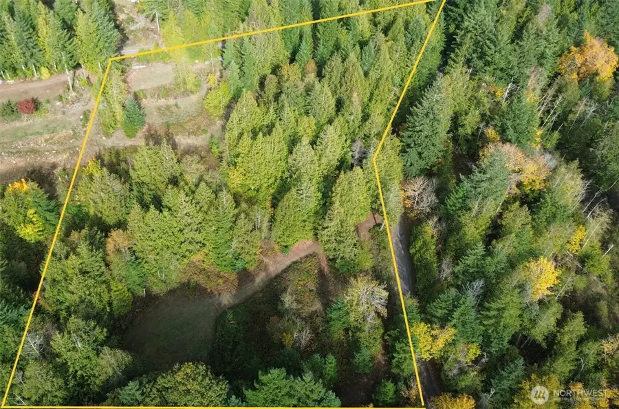 9999 Dusty Road #14, Brinnon, WA 98320 - Image #2