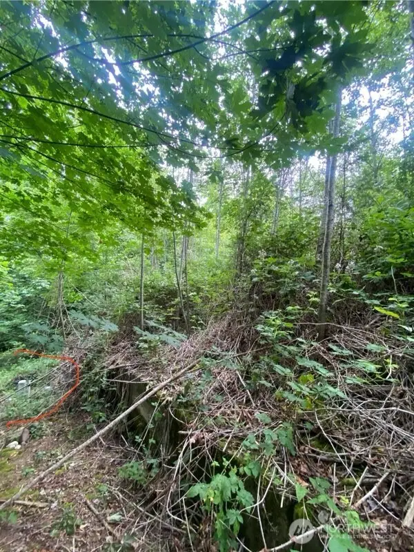 9 E Nightingale Place, Belfair, WA 98528 - Image #1