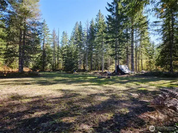 2 Lahar Lane #2, Cougar, WA 98616