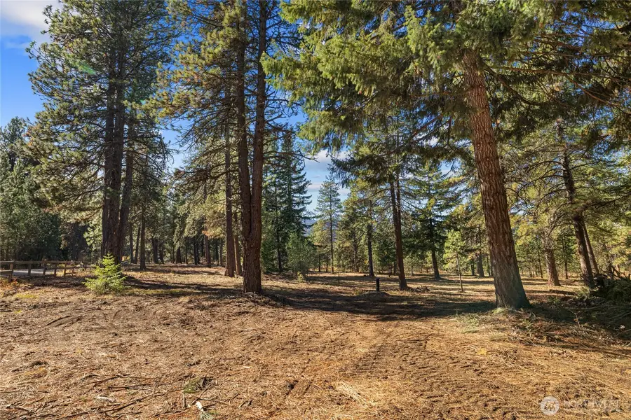 101 Book Lane, Cle Elum, WA 98922 - Image #2