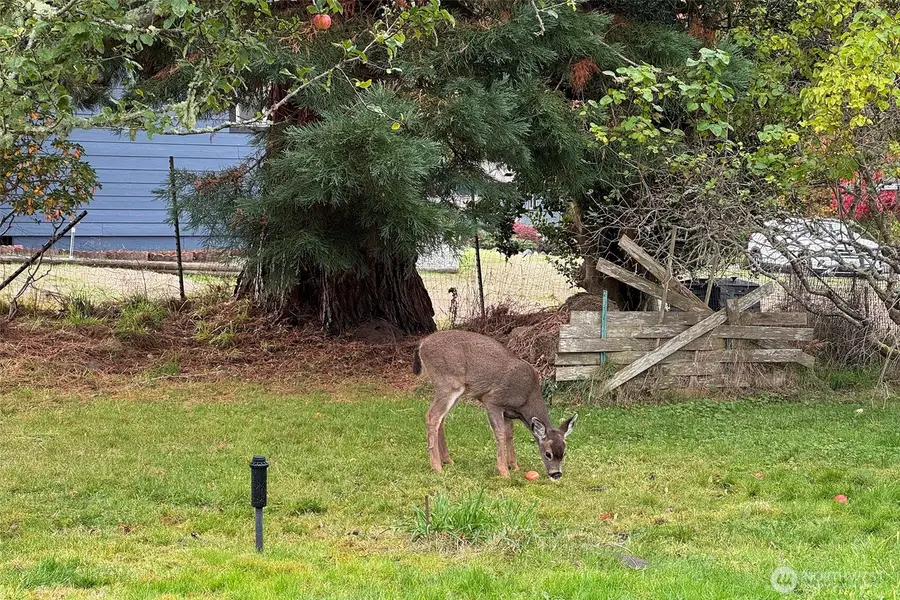 241 Bay View Street, Sequim, WA 98382 - Image #2