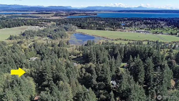 0 Nhn Wayne's Ridge Circle, Camano Island, WA 98282