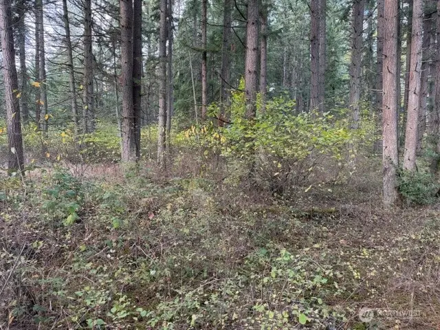 0 Jasmine Avenue Se, Auburn, WA 98092 - Image #2