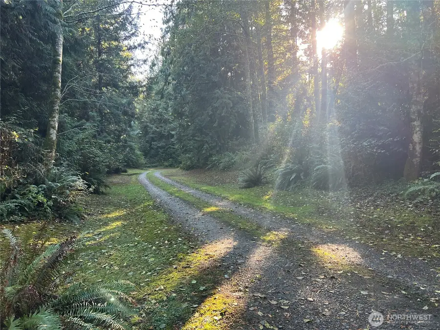 5249 Fallen Leaf Ln, Langley, WA 98260 - Image #3