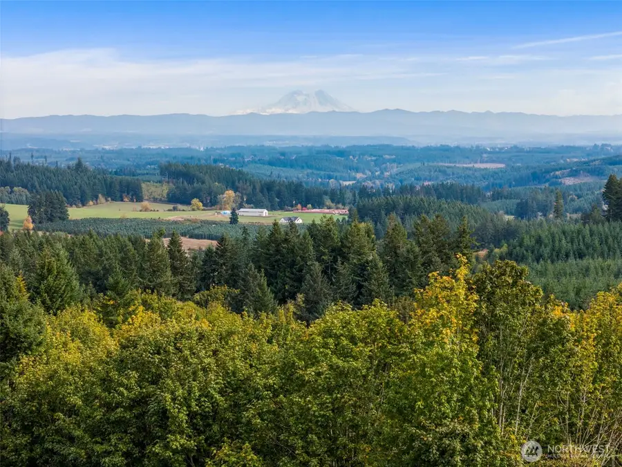 251 Crego Hill Road, Winlock Pe Ell, WA 98522 - Image #2