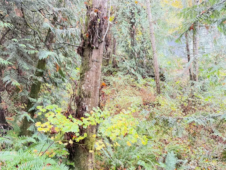 1 W Alder Drive #8, Sedro Woolley, WA 98284 - Image #3