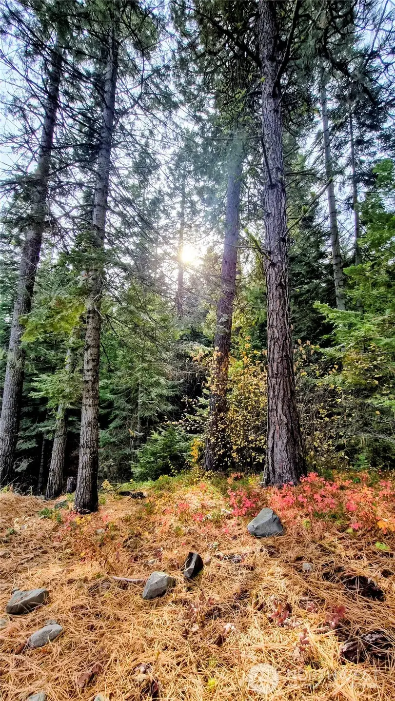 6299 Alder Ct #11, Wenatchee, WA 98801 - Image #1