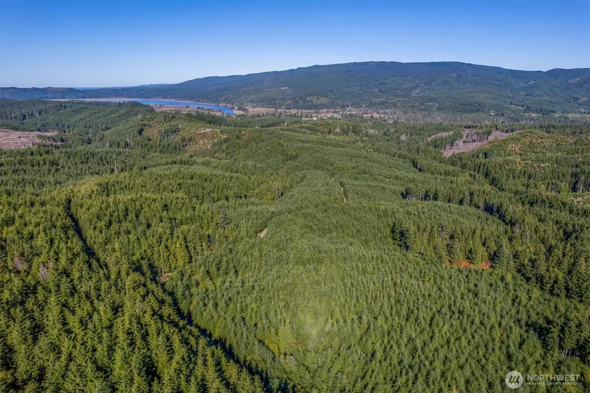 6 Parpala Road #6, Naselle, WA 98638 - #1